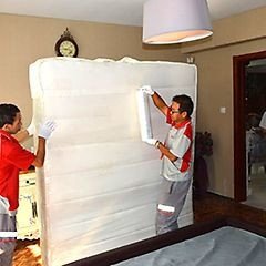 1625173305311451.jpg u=2713085273,996829309&fm=11&gp=0.jpg